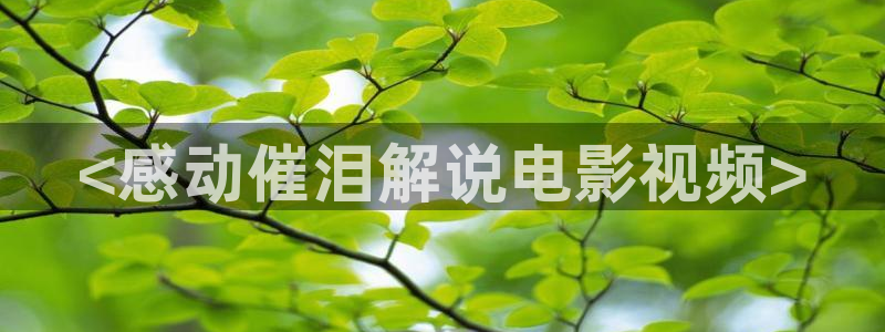 涩漫天堂免费下：<感动催泪解说电影视频>